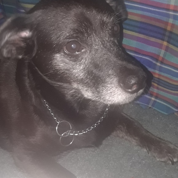 Meet your Posher, Erin - Picture 2 of 8